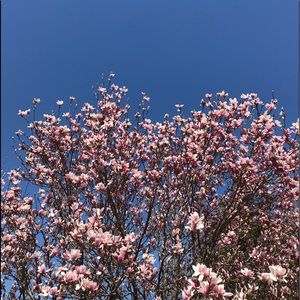 Meet your Posher, Ella